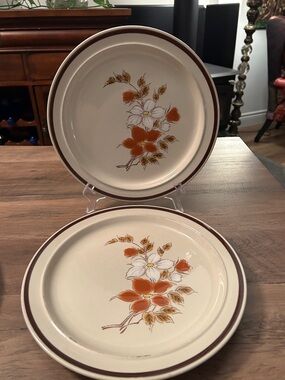 Vintage-Dynasty Carolina Dinner Plates with Orange Floral Pattern Set of 2